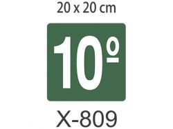 x-809-placa10