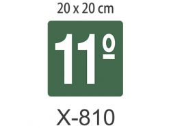 x-810-placa11